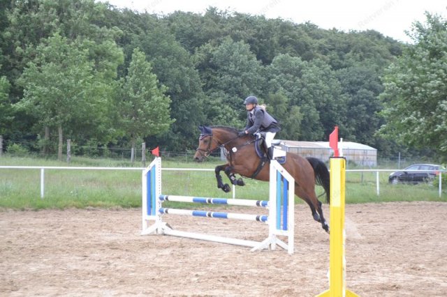 reitertag 2013 64